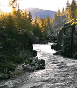 森林小河流动态:河流
