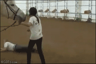 骑马被马踢动态图片