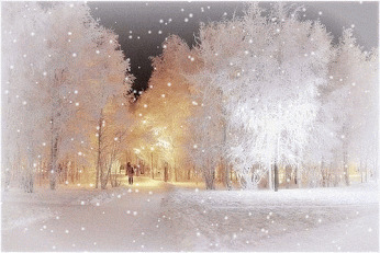 枫林雪景唯美图片:雪景,背景素材