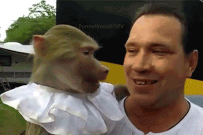 猴子模仿人张嘴动态图片:猴子