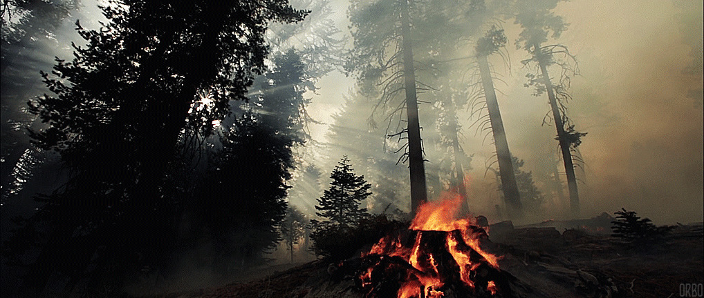 森林烧火动态图:烧火