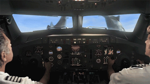 鲨鱼袭击飞机动态图