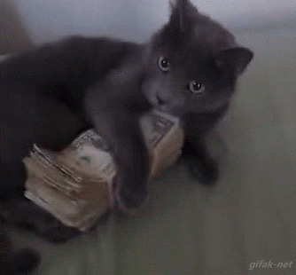 别动我的钱搞笑图片:猫猫