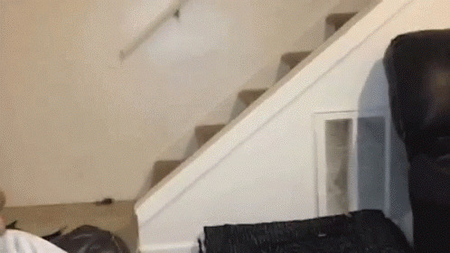 猫咪滑楼梯动态图:猫猫