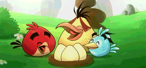 快乐的小鸟动画图片:小鸟