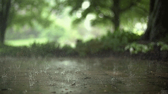 雨水打在地面动态图片:雨景