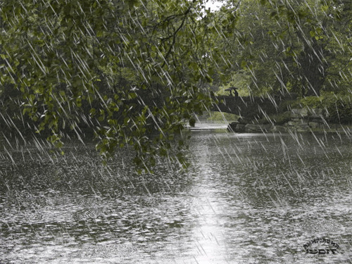 湖水秋天雨动态图:雨景