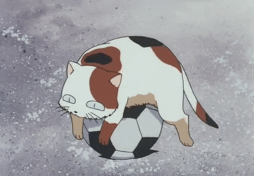 卡通猫猫玩足球动态图片:猫猫