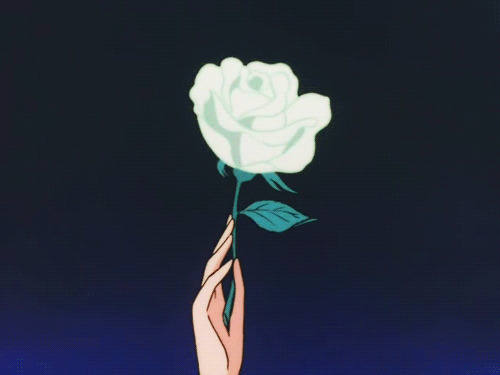 一朵白玫瑰花动画图片