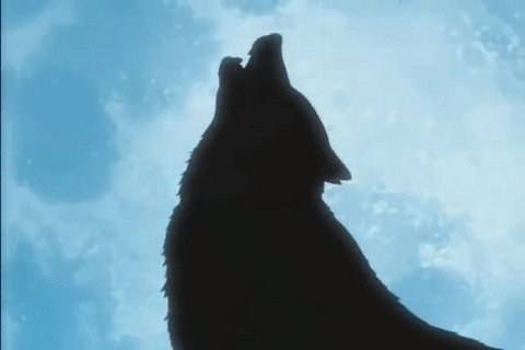 狼的叫声动态图片