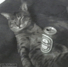 大猫喝醉酒动态图