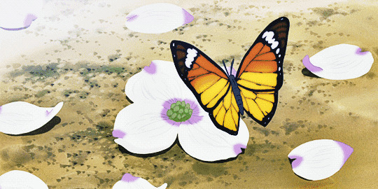 蝴蝶鲜花动态图片:蝴蝶