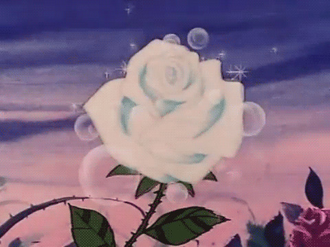 一朵花儿绽放动画图片:花开