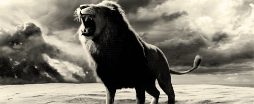 狮子吼动态图片:狮子