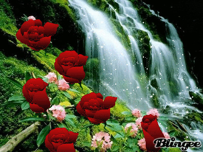 瀑布和鲜花动态图片:鲜花
