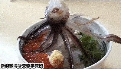残忍吃活章鱼动态图:章鱼