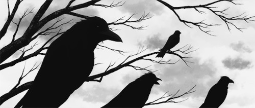 枝头上的乌鸦动画图片:乌鸦