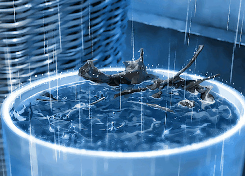 花盆里的雨水动画图片:雨水