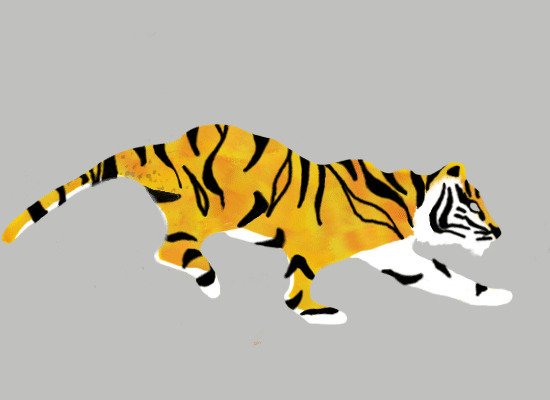 老虎奔跑动画图片:老虎