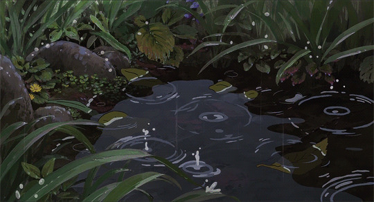 池塘小雨动态图片
