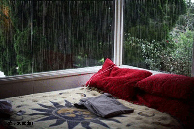 窗外的大雨gif图片:下雨