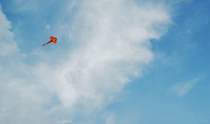 女生海边放风筝gif图:风筝