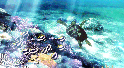 海底乌龟卡通动态图片:乌龟