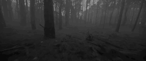森林亡命奔跑动态图片