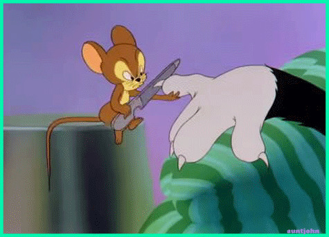 老鼠给猫剪指甲动态图片:老鼠