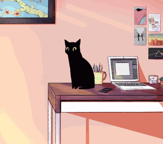 黑猫猫恶搞动态图片:猫猫