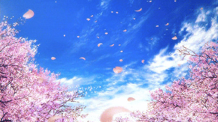 樱花满天飞动态图片