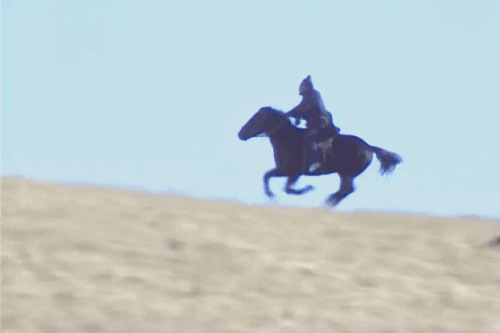 骑马奔腾动态图片:骑马