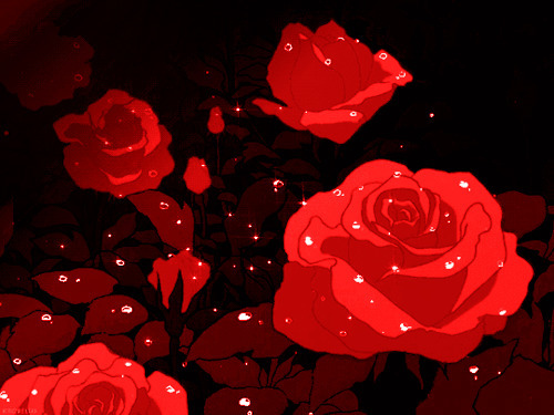 亮晶晶红玫瑰花gif素材:玫瑰花