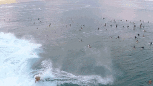海上冲浪极限挑战gif图:冲浪