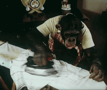 大猩猩烫衣服搞笑动态图:猩猩