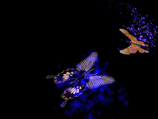 3D蝴蝶动态图片:蝴蝶