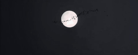 仙鹤飞过天上月亮gif图片:月亮