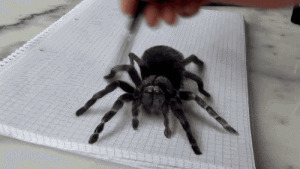 手绘3D蜘蛛图片