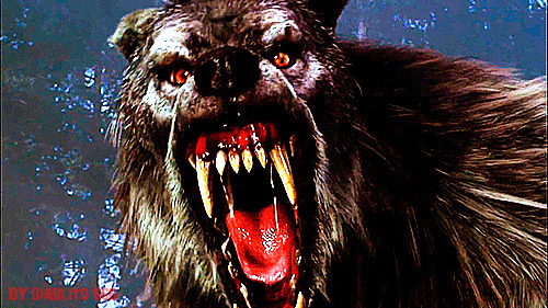 龇牙咧嘴的大棕熊动态图片