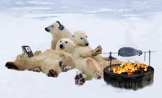 北极熊烧烤动态图片:北极熊