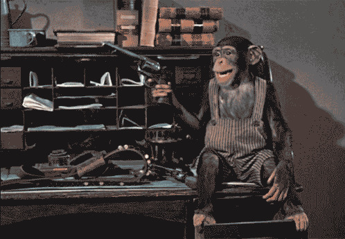 猴子拿手枪哈哈大笑动态图片:猴子
