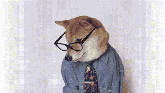 狗狗戴眼镜穿衣服gif图片