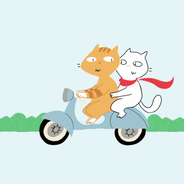 卡通小猫猫骑车兜风gif图片