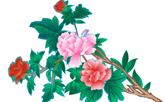 一束盛开的国花牡丹gif图片