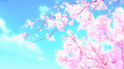 美丽的樱花素材gif图片:樱花