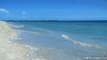 海浪拼命的冲向沙滩gif图片:海浪