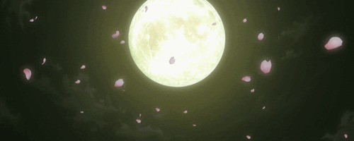 月圆之夜美丽的樱花飘落gif图片