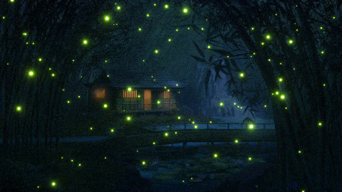 黑夜中美丽的萤火虫gif图片