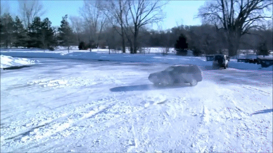 狗狗在雪地上开车gif图片