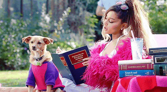 爱打扮的美女看书小狗狗在一旁陪伴gif图片